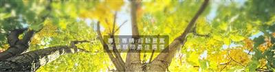 學人留學顧問有限公司-台北辦公室